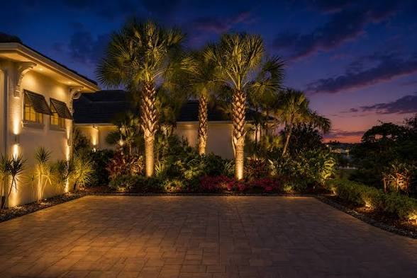 Palm-lined walkway with warm path lighting at night